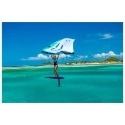 Aile De Wing Duotone Slick Mint/White -Duotone Soldes Boutique d2e9d5870bba3590a3d1aefd1c29f101585b54b4 E23DUOTWAT3399392 903